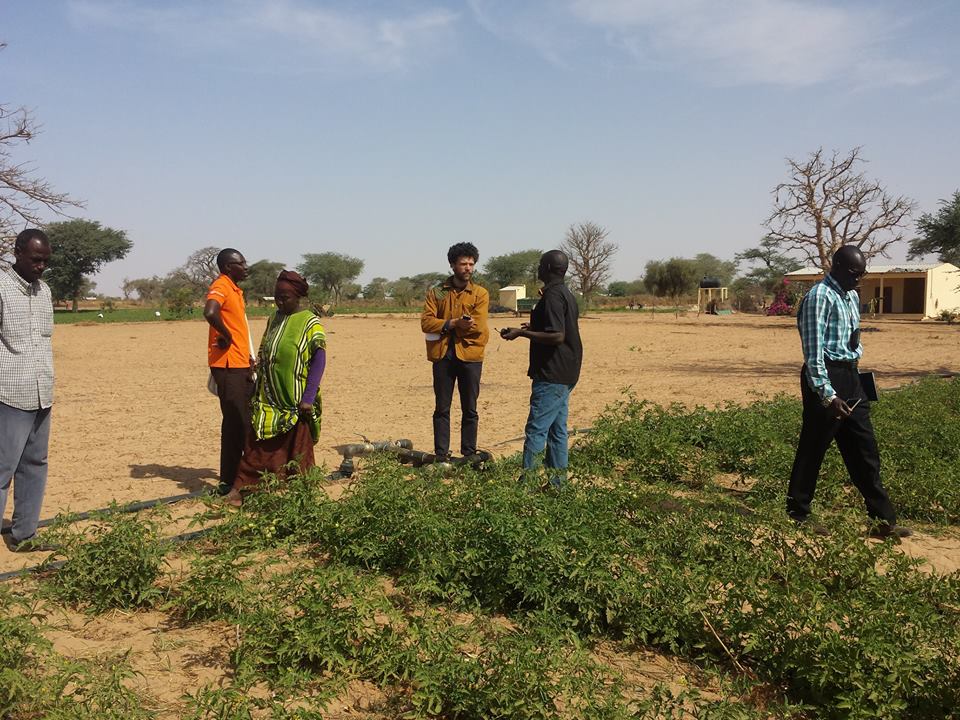 GIE AND DEFAR NGAYE NDIAWAR GIE AND DEFAR NGAYE NDIAWAR