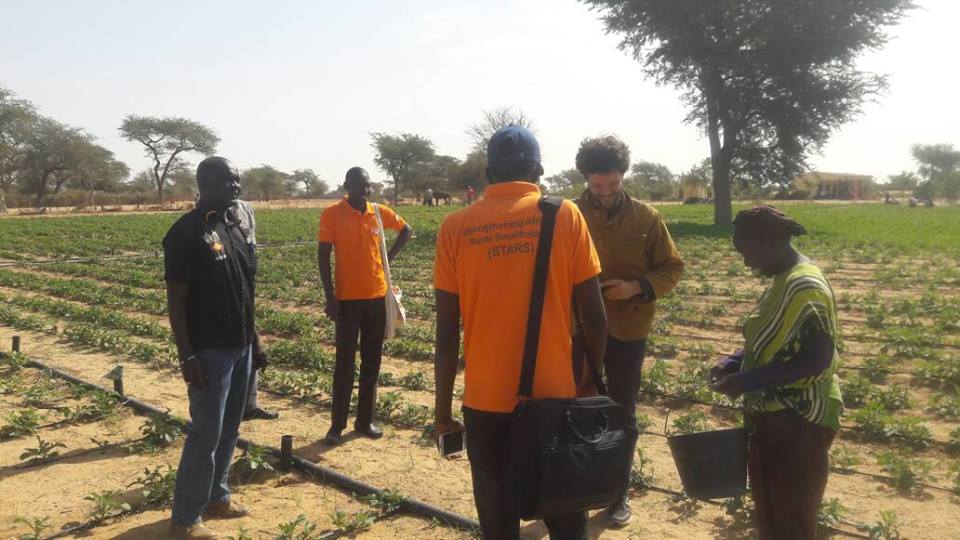 GIE AND DEFAR NGAYE NDIAWAR GIE AND DEFAR NGAYE NDIAWAR