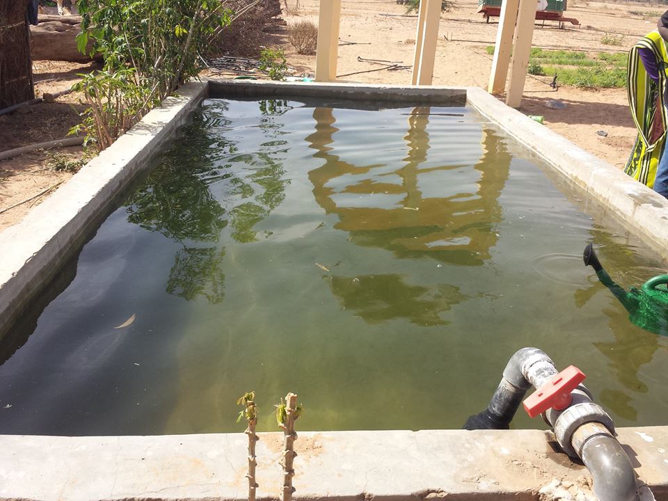 GIE AND DEFAR NGAYE NDIAWAR GIE AND DEFAR NGAYE NDIAWAR