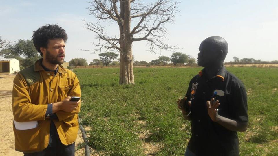 GIE AND DEFAR NGAYE NDIAWAR GIE AND DEFAR NGAYE NDIAWAR