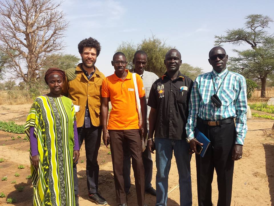 GIE AND DEFAR NGAYE NDIAWAR GIE AND DEFAR NGAYE NDIAWAR