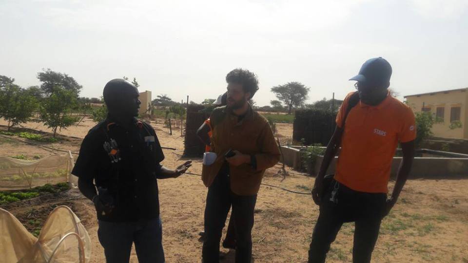 GIE AND DEFAR NGAYE NDIAWAR GIE AND DEFAR NGAYE NDIAWAR