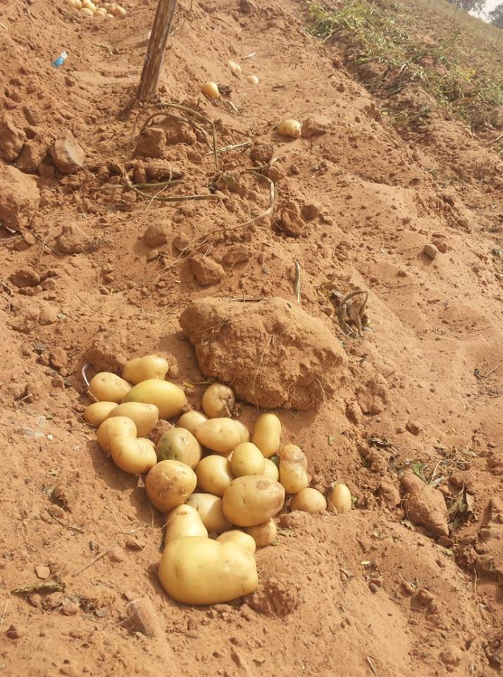 Visite de la Ferme / Académie CAMPUS DESPERANTOS Visite de la Ferme / Académie CAMPUS DESPERANTOS