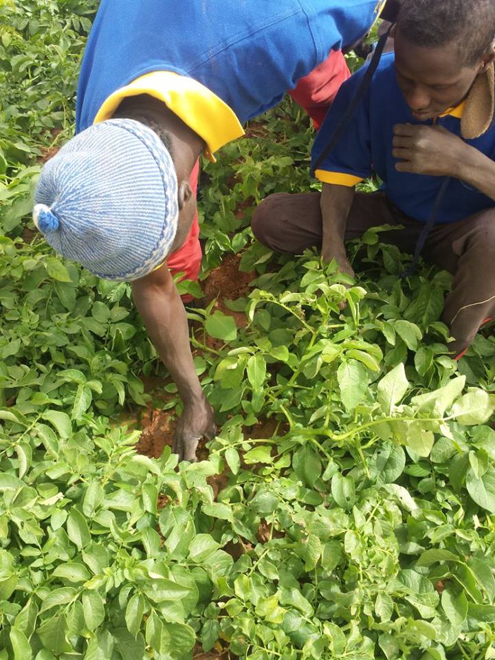 Visite de la Ferme / Académie CAMPUS DESPERANTOS Visite de la Ferme / Académie CAMPUS DESPERANTOS
