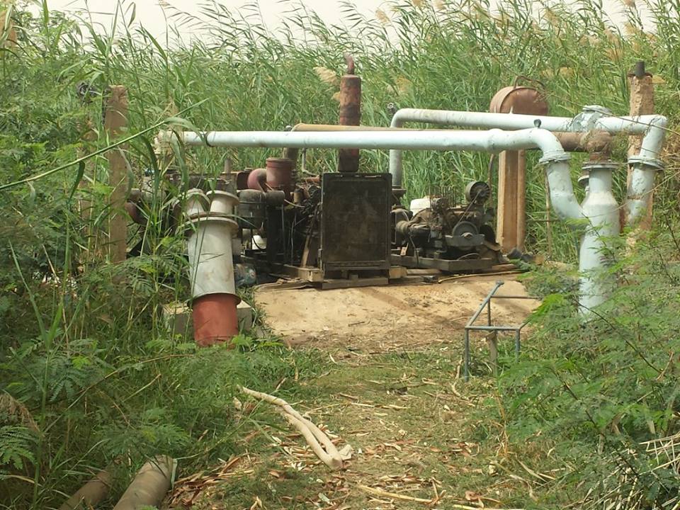 Visite de la Ferme / Académie CAMPUS DESPERANTOS Visite de la Ferme / Académie CAMPUS DESPERANTOS