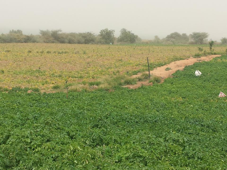 Visite de la Ferme / Académie CAMPUS DESPERANTOS Visite de la Ferme / Académie CAMPUS DESPERANTOS