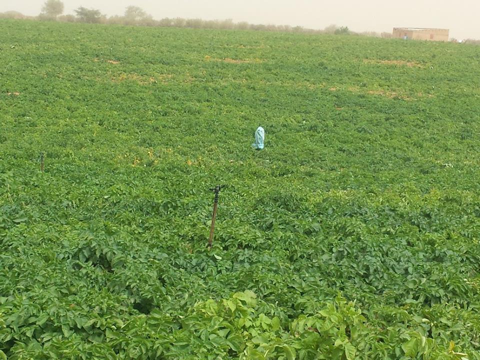 Visite de la Ferme / Académie CAMPUS DESPERANTOS Visite de la Ferme / Académie CAMPUS DESPERANTOS
