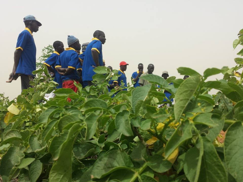 Visite de la Ferme / Académie CAMPUS DESPERANTOS Visite de la Ferme / Académie CAMPUS DESPERANTOS