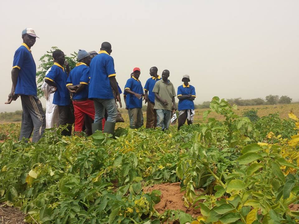 Visite de la Ferme / Académie CAMPUS DESPERANTOS Visite de la Ferme / Académie CAMPUS DESPERANTOS