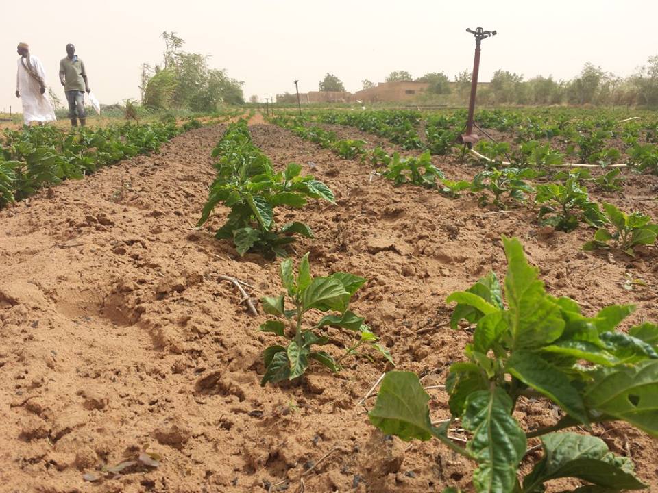 Visite de la Ferme / Académie CAMPUS DESPERANTOS Visite de la Ferme / Académie CAMPUS DESPERANTOS