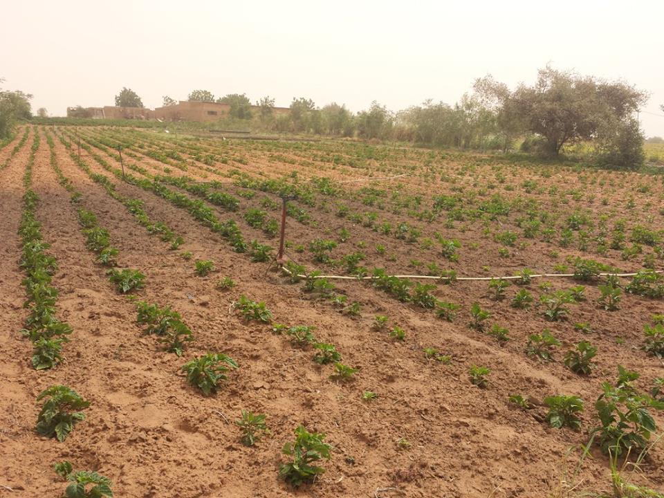 Visite de la Ferme / Académie CAMPUS DESPERANTOS Visite de la Ferme / Académie CAMPUS DESPERANTOS