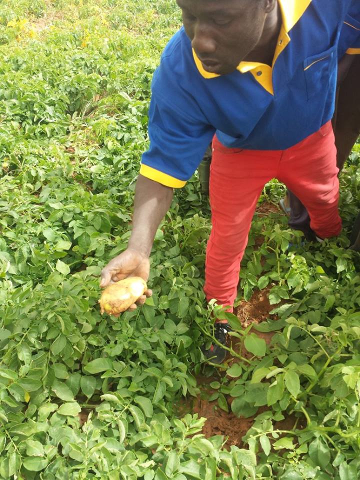 Visite de la Ferme / Académie CAMPUS DESPERANTOS Visite de la Ferme / Académie CAMPUS DESPERANTOS