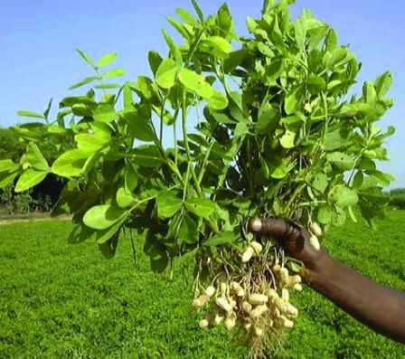 Secteurs d'activités ou nous intervenons Secteurs d'activités ou nous intervenons