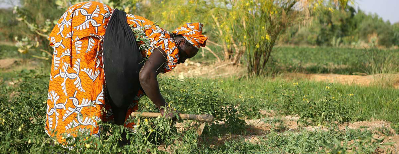 Mec Fadec Njambur Microcredit, epargne et credit Mec Fadec Njambur Microcredit, epargne et credit