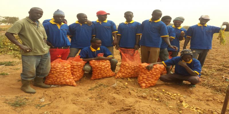 La microfinance au service de l'agriculture